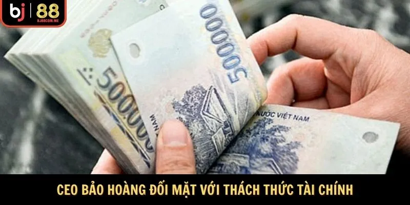 CEO Bảo Hoàng đối mặt thách thức tài chính